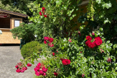 IMG-20250630-WA0052