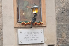 20241003_170023_resized