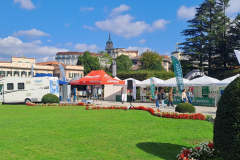 20241005_150237_resized