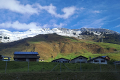 20241006_095019_resized