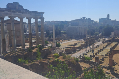 20240730_093553_resized