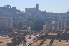 20240730_093742_resized