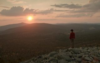 Der wilde Wald im Kino: Warum Wildnis uns heilig sein sollte