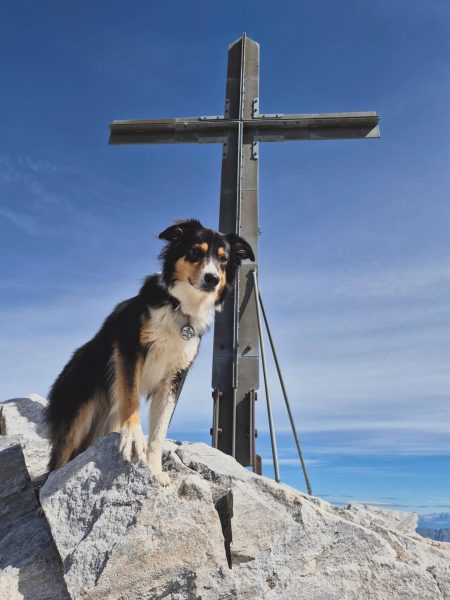 hoheweiße3278m